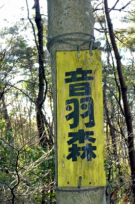 e0137200_23415636.jpg