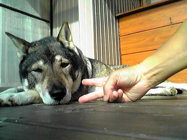 f0079202_15492487.jpg