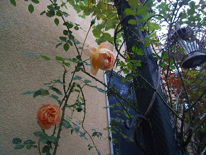 f0065604_19503081.jpg