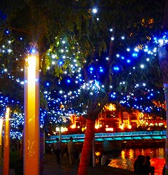 c0148705_1873197.jpg