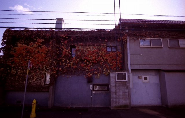c0202705_17332951.jpg