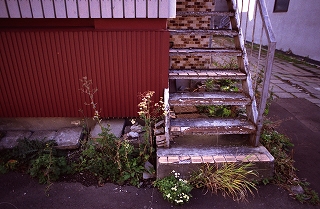 c0202705_17394493.jpg