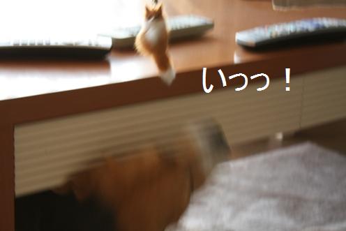 c0205806_16523865.jpg