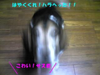 d0104209_20504615.jpg