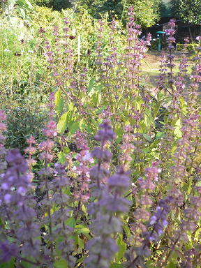 c0101913_1571660.jpg