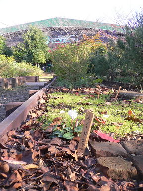 c0101913_157231.jpg