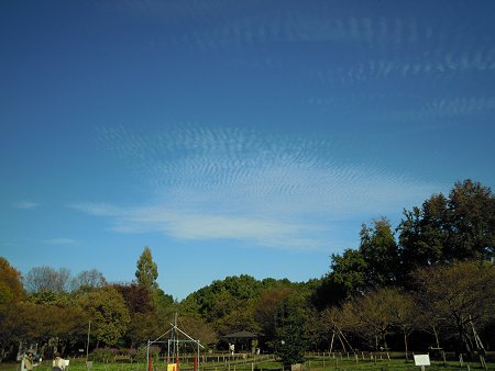 d0143214_21552362.jpg
