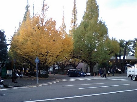 d0143214_2282896.jpg