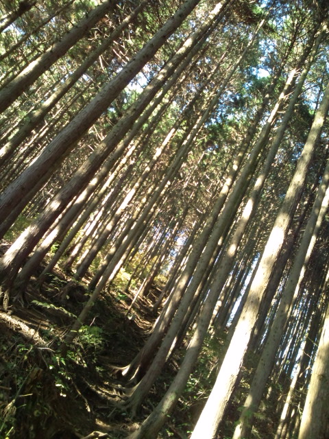 e0022614_18121187.jpg