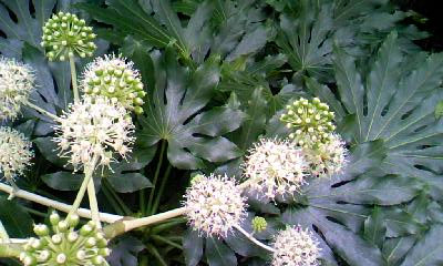 c0150520_23323480.jpg