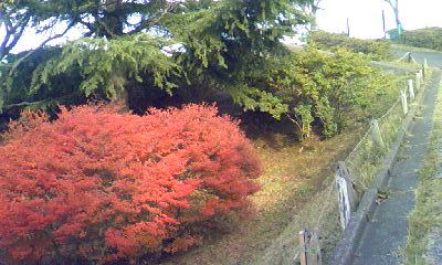 c0150520_2333149.jpg