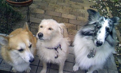 c0150520_23351672.jpg