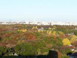 c0193425_101212.jpg