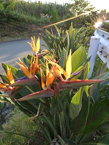 d0023725_1044666.jpg