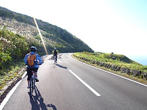 d0023725_1052757.jpg