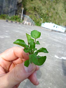 d0023725_105455.jpg