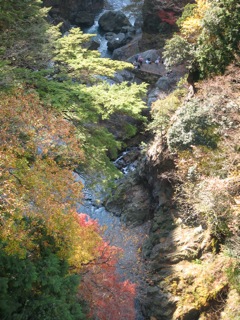 f0098728_222495.jpg