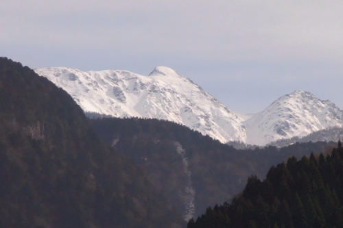 a0119132_187481.jpg
