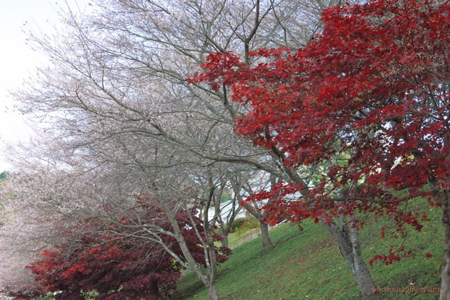 e0083238_21421081.jpg