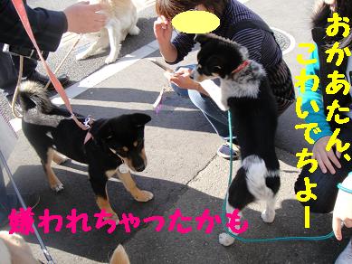c0211642_21131858.jpg