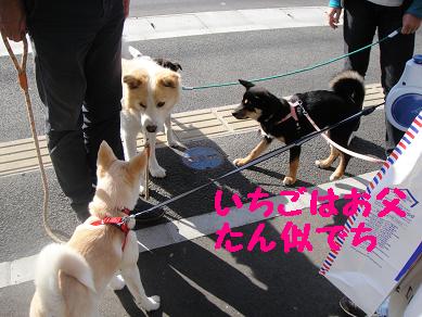 c0211642_21225929.jpg