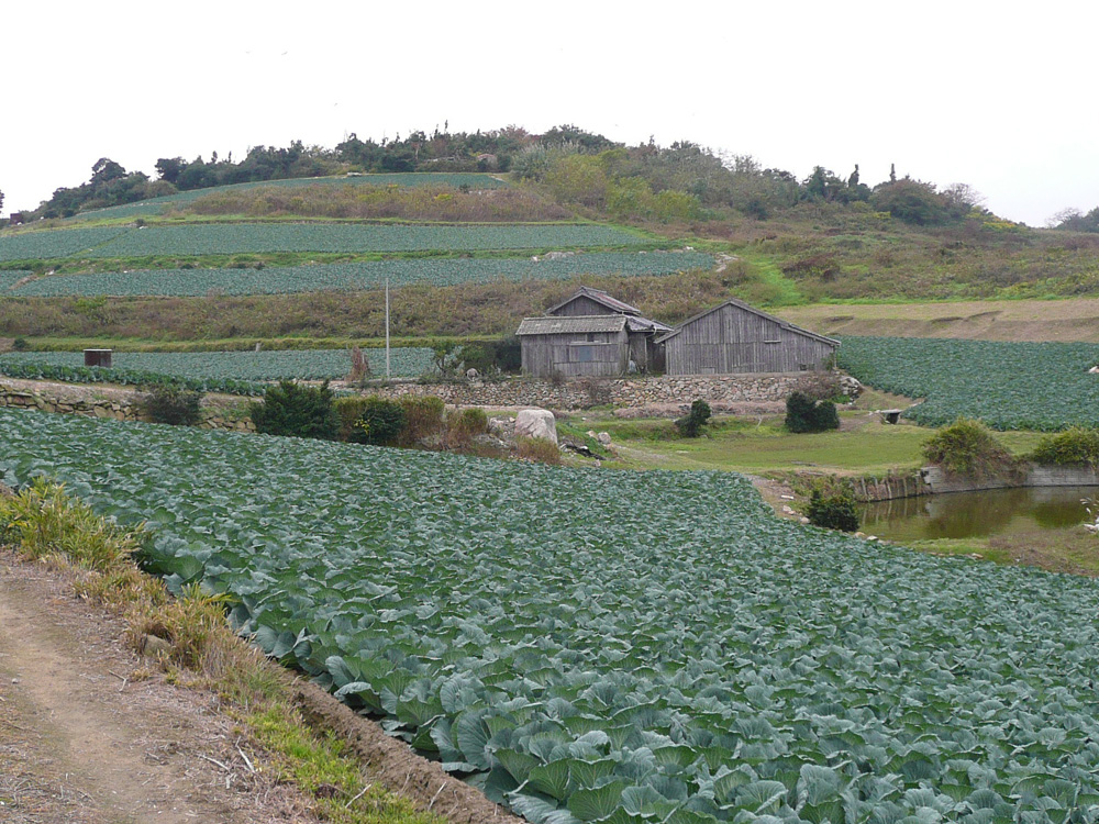 a0142843_20351364.jpg