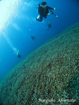 e0027447_2021246.jpg