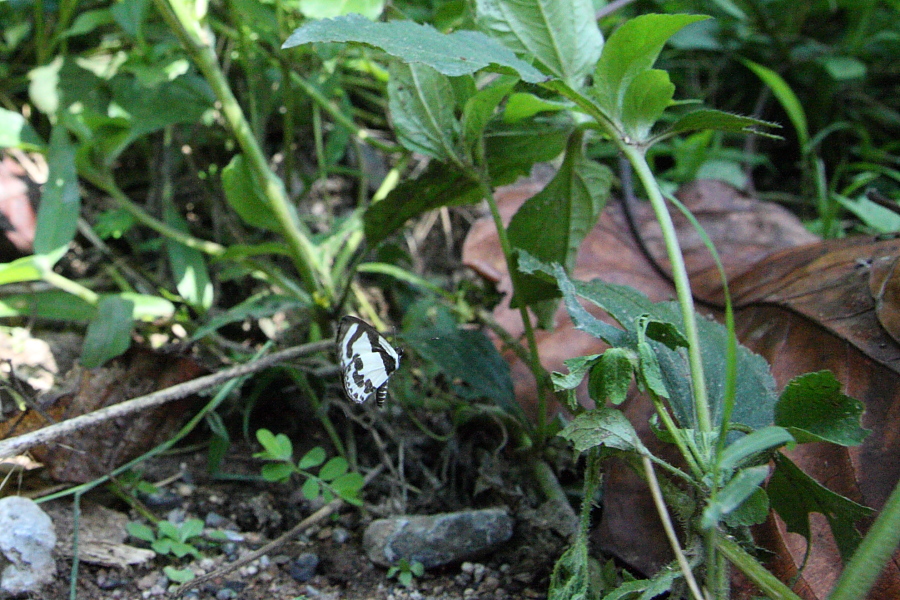 a0094850_21163353.jpg