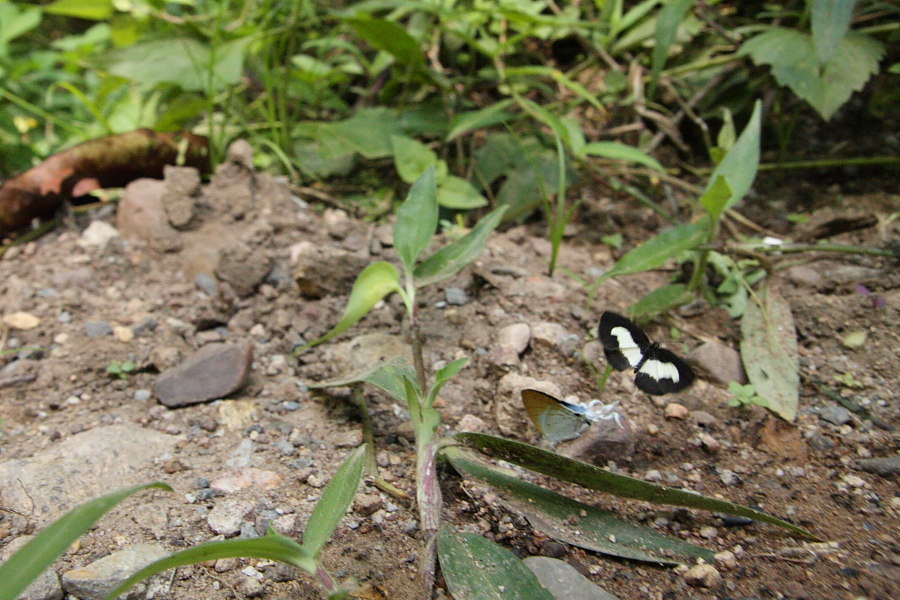 a0094850_21181038.jpg