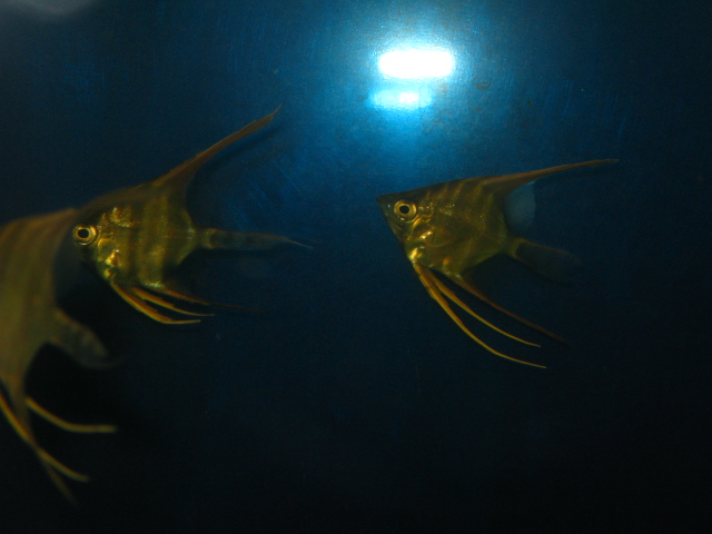 f0198950_2217365.jpg