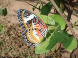 f0204552_0543978.jpg