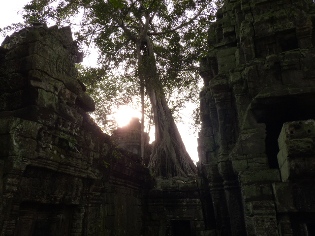 d0141457_22264260.jpg