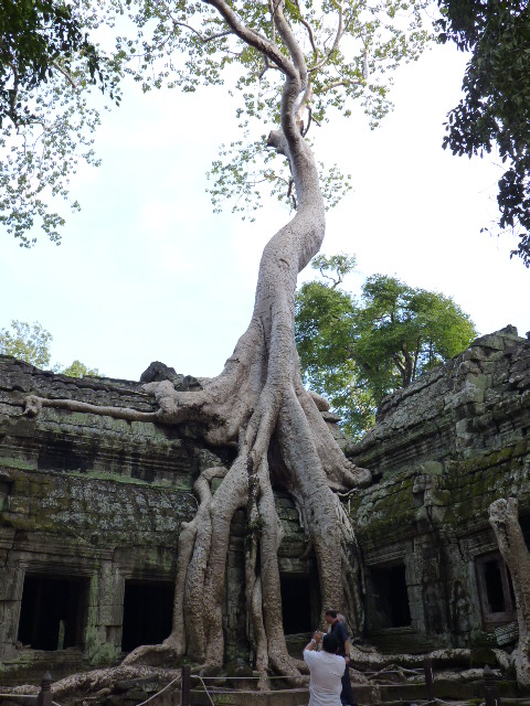 d0141457_22273371.jpg