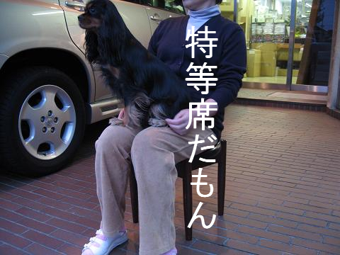 a0101958_1657325.jpg