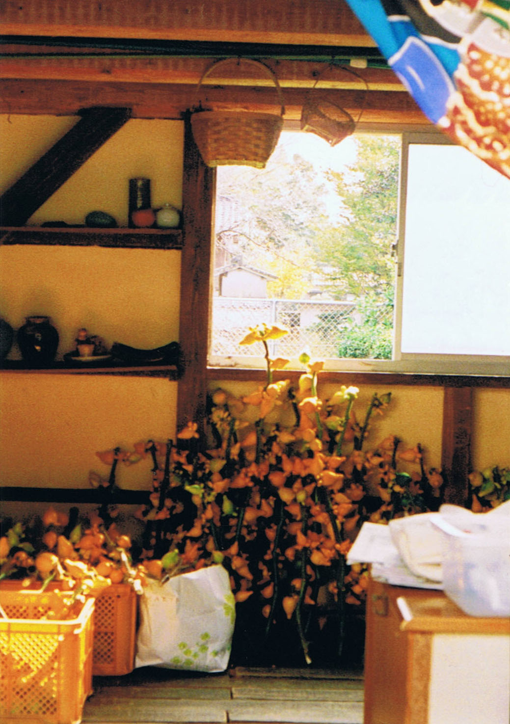 e0195460_21594651.jpg