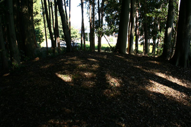 d0079764_22511933.jpg
