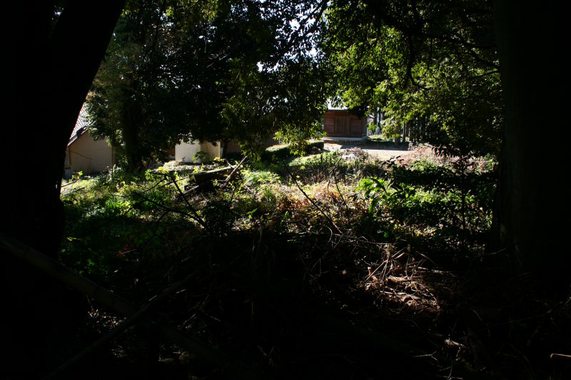 d0079764_2254289.jpg