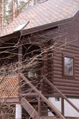 f0107364_1541338.gif