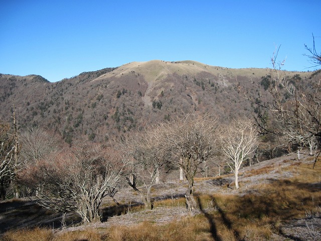 c0219866_12364082.jpg
