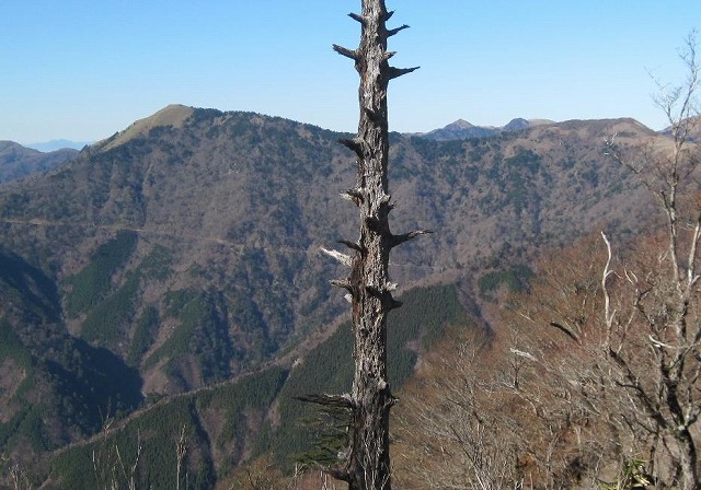 c0219866_1239110.jpg