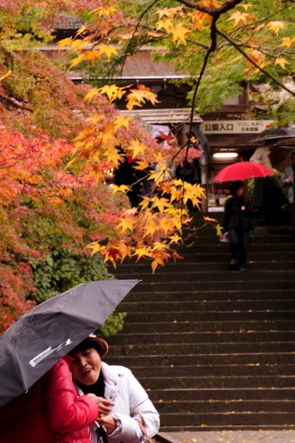 b0131167_1312710.jpg
