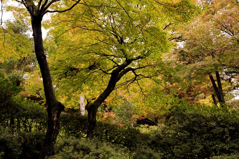 b0131167_134399.jpg