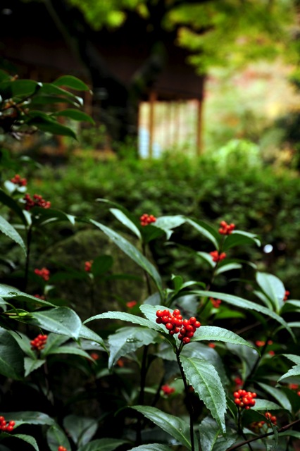 b0131167_1355499.jpg