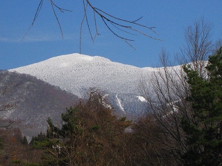 e0160568_15351545.jpg