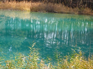 e0160568_15355327.jpg