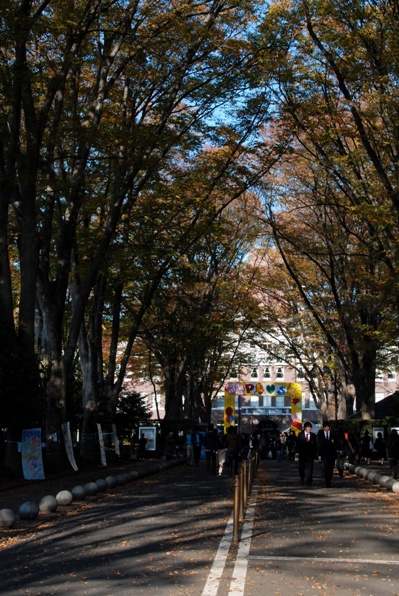 f0065768_188051.jpg