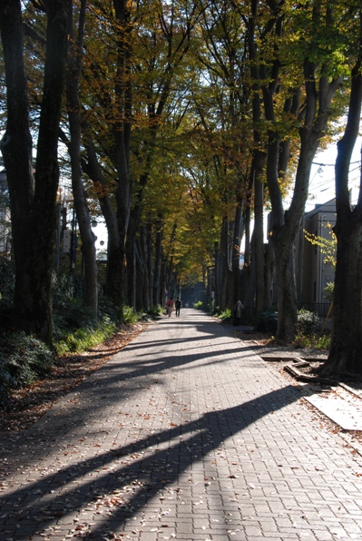 f0065768_2145748.jpg