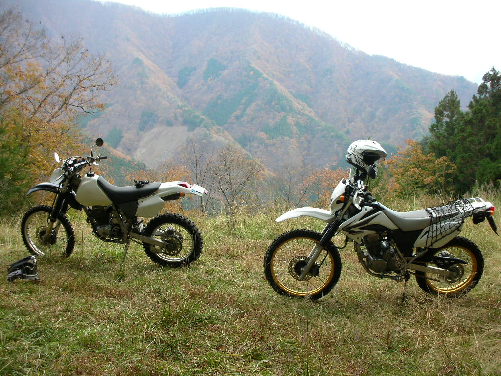 f0186368_16412419.jpg