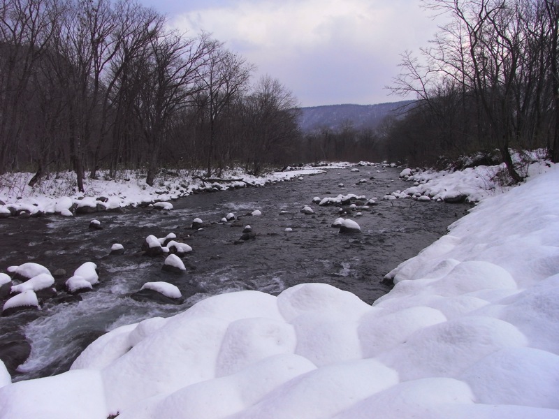 d0005370_1434171.jpg
