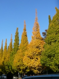 a0139771_1481191.jpg
